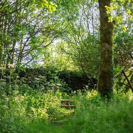 Semesterbostad Ardnavaha House Poolside - Site