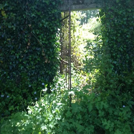 Semesterbostad Ardnavaha House Poolside - Site *