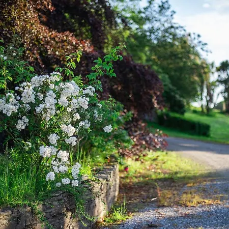 Ardnavaha House Poolside - Site *