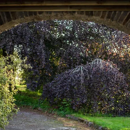Ardnavaha House Poolside - Site