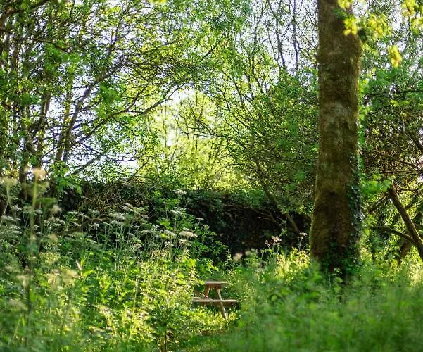 Holiday home Ardnavaha House Poolside - Site