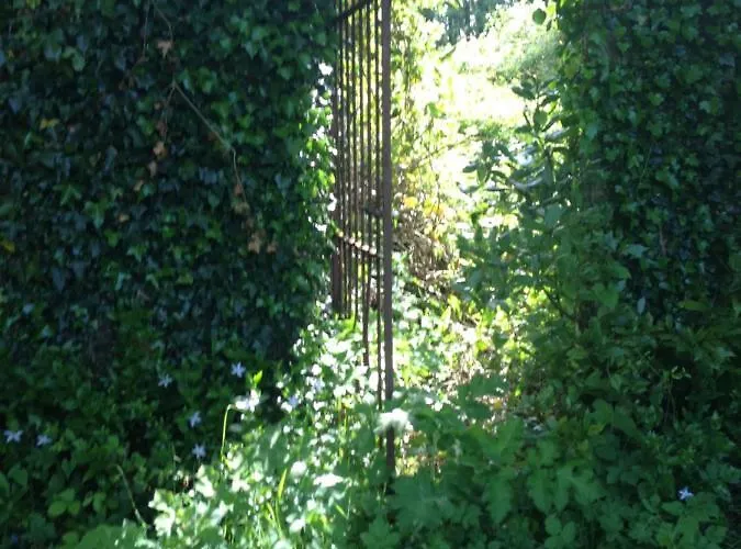 Holiday home Ardnavaha House Poolside - Site *