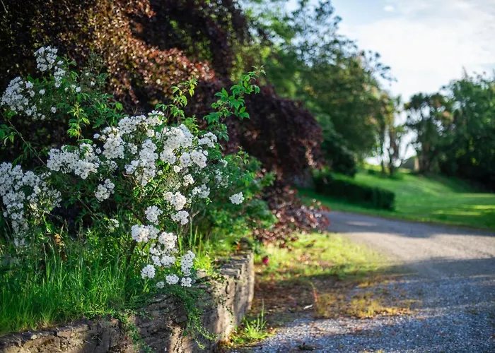 Ardnavaha House Poolside - Site *
