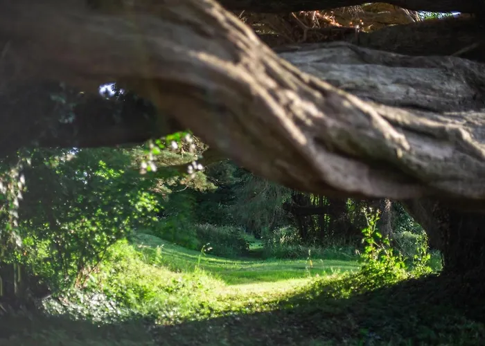 Ardnavaha House Poolside - Site Holiday home Clonakilty