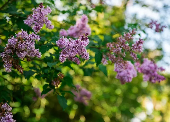 Ardnavaha House Poolside - Site * Clonakilty